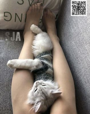 日韩另类综合网址_视频大全成人直接看